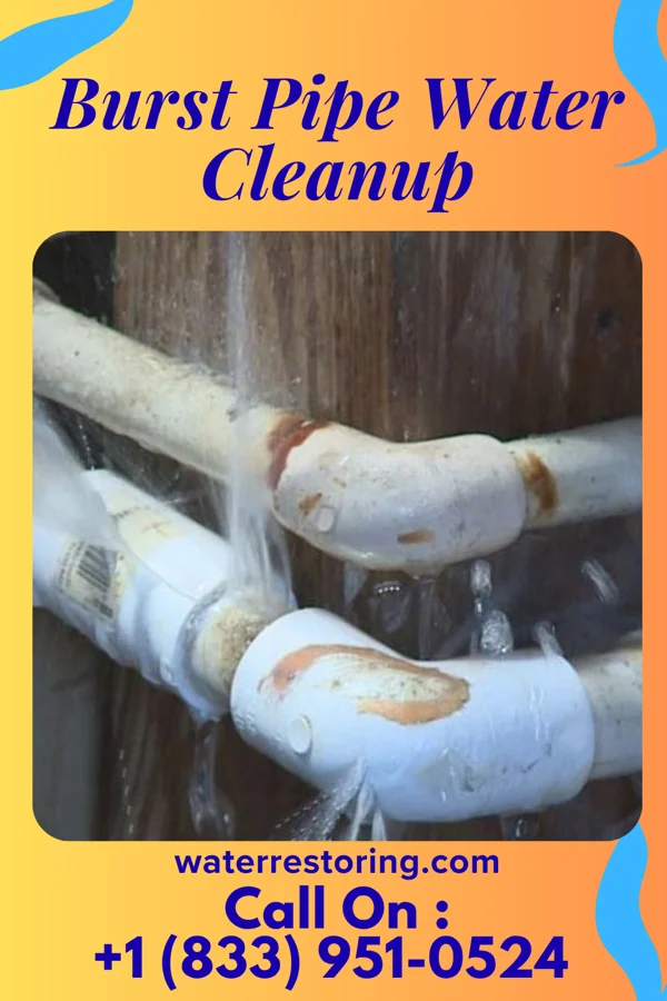 Burst Pipe Water Cleanup in Eldorado, PA