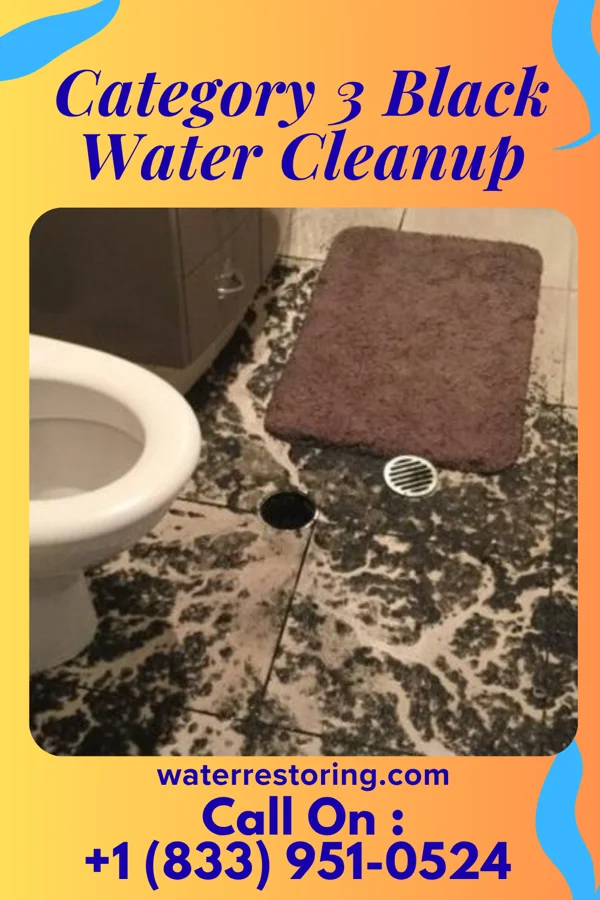 Category 3 Black Water Cleanup in Eldorado, PA