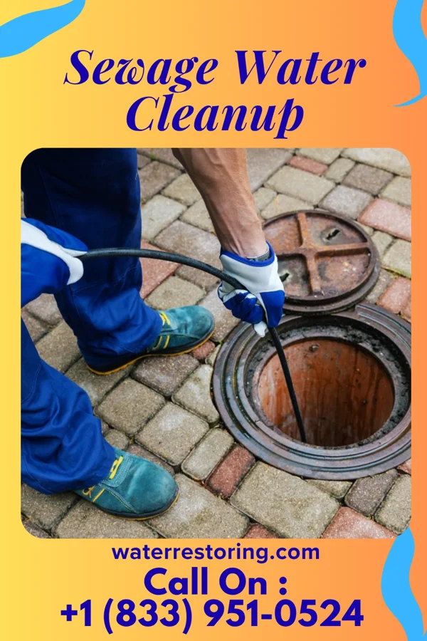 Sewage Water Cleanup in Eldorado, PA